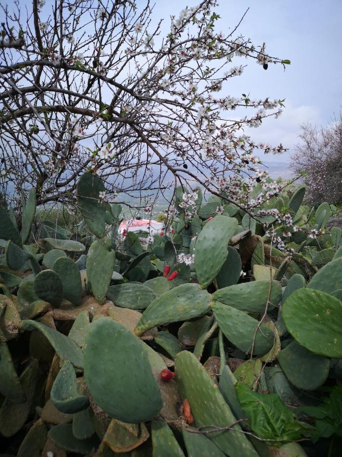 Вілла Casa Opuntia Pappaygiannades Екстер'єр фото